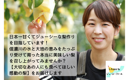 先行予約 和梨 あきづき 自家用 約5kg 新潟県 三条市産 しなのがわジューシーファーム