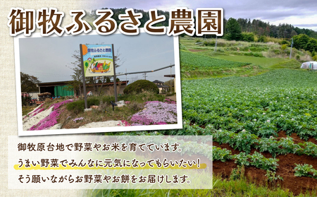 【先行受付2026年発送】３回頒布会｜御牧原台地の恵み（スイートコーン、白土馬鈴薯、お餅セット）｜御牧ふるさと農園 ※2026年7月中旬以降発送