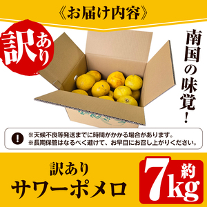 ＜先行予約受付中！2027年2月下旬以降順次発送予定＞＜訳あり・傷あり＞数量限定！サワーポメロ(約7kg) 国産 フルーツ 果物 柑橘類 サワーポメロ 甘味 酸味 デザート おやつ 訳あり【なかむら果樹園】akn014-01