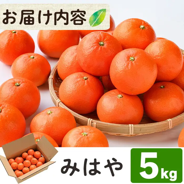 ＜先行予約受付中！2027年1月中旬から2月中旬の間に順次発送予定＞みはや(約5kg)みはや(約5kg)ハウス 樹成 完熟みかん 蜜柑 柑橘 かんきつ フルーツ 果物 くだもの【111600100】【永木農園】