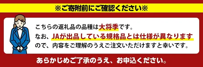 ＜先行予約受付中！2027年1月中旬以降順次発送予定＞数量限定！大将季 (6個・4Lサイズ) 柑橘 フルーツ 果物 国産 みかん 期間限定 不知火 しらぬい シラヌイ ミカン【株式会社土曜日】akn069-12