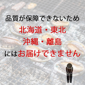 【配送不可地域:北海道・東北・沖縄県・離島】オリーブあわび 約500g(5個入り前後)