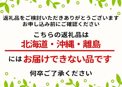 《訳あり》3年生 苗木◇柑橘類 本柚子(ほんゆず)[果樹鉢苗 2023年] ※北海道・沖縄・離島への配送不可