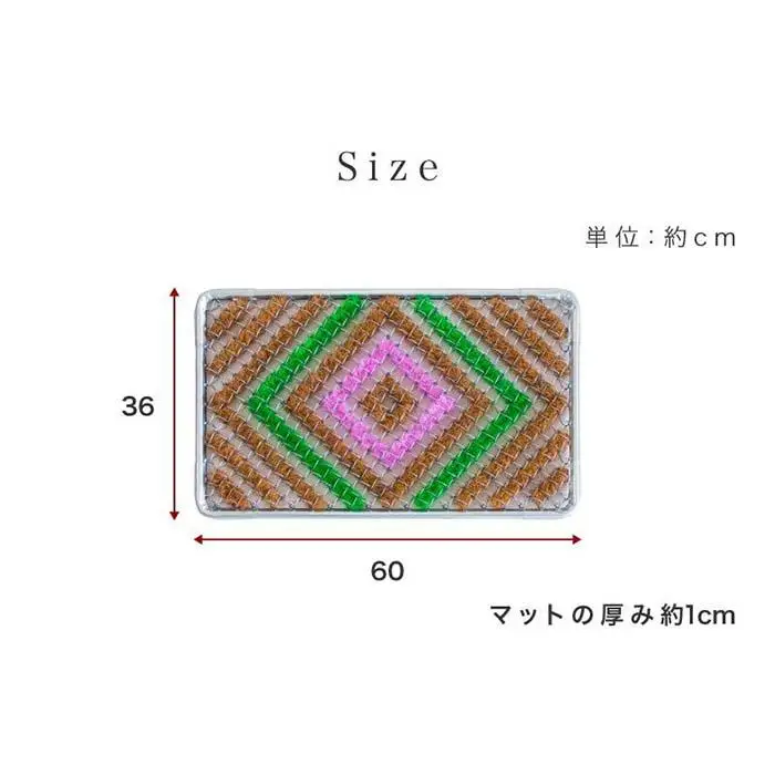玄関マット 泥 雪 落とし 36×60cm マルチ3色 SNG102107801