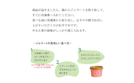 やまえ栗 ジェラート 4個 友和堂 《10月上旬-12月中旬頃出荷》 熊本県 球磨郡 山江村 スイーツ お菓子 洋菓子 アイス 栗 くり 