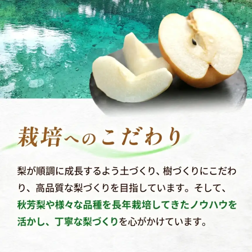 おいしい梨をいつでも 和梨ジャム 6個セット  ( 秋芳の実 梨 百年の樹 )