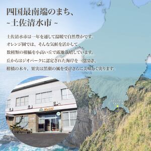 【令和８年発送】 オレンジ園の柑橘3種（ぽんかん・文旦・小夏）各10kg 3回定期便 【J00105】