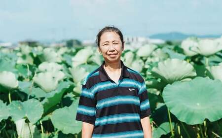 肥後れんこんの里 れんこん茶 70g×2袋 合計140g お茶 茶 飲料 茶葉 れんこん 蓮根 蓮根茶 れんこん茶 やさい 野菜 加工品 長期保存 熊本県産 国産