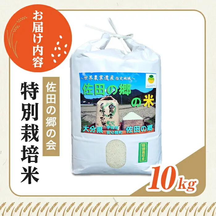 ＜令和7年産＞佐田の郷の米 特別栽培米(10kg)お米 白米 ごはん ヒノヒカリ ひのひかり ブランド米 常温 常温保存【111700804】【雅設置プロジェクト　佐田の郷の会】