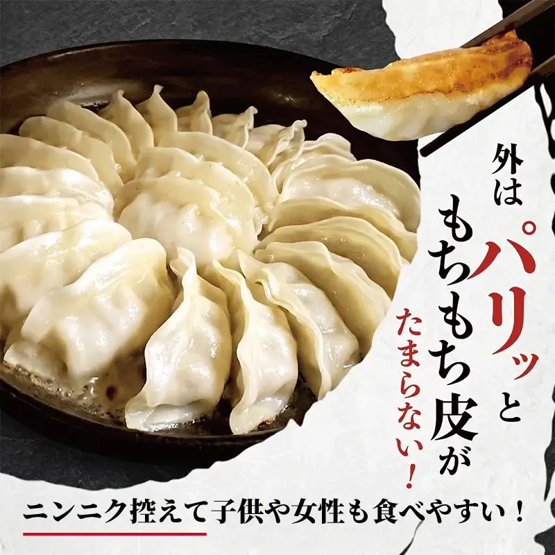 【ふるなびWEEK対象】 湘南生餃子 192個 約3.8kg 餃子 ぎょうざ