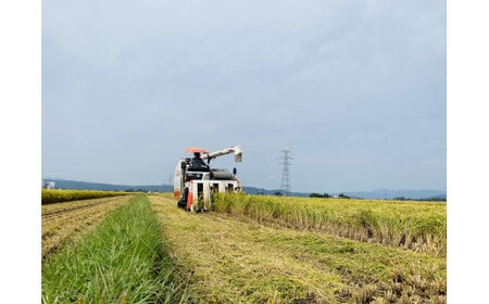 36-C こがねもち（令和7年産米）会津坂下産もち米 10kg（5kg×2袋） T.Farming※沖縄・離島への配送不可