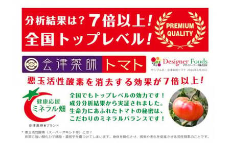 15-M 【月2回定期便】 会津薬師トマト 4kg×2箱（14・16・18・20ケ入　玉数お任せ） フローライシダ ※2026年6月～発送
