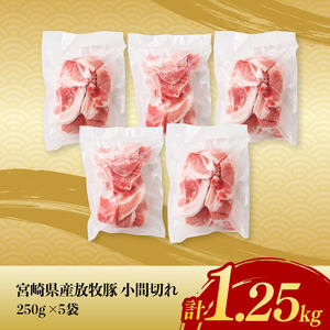 【12ヶ月定期便】宮崎県産豚肉　放牧豚パラパラ小間切れ1.25kg（250g×5袋）【 豚肉 豚 肉 小間切れ 細切れ 炒め物 】