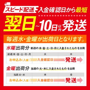 訳あり 塩サバ 約3kg 冷凍 鯖 塩 さば 魚 さかな 海鮮 海産物 おかず ご飯 おすすめ 人気 愛知県 南知多町 【配送不可地域：北海道･沖縄県･離島】