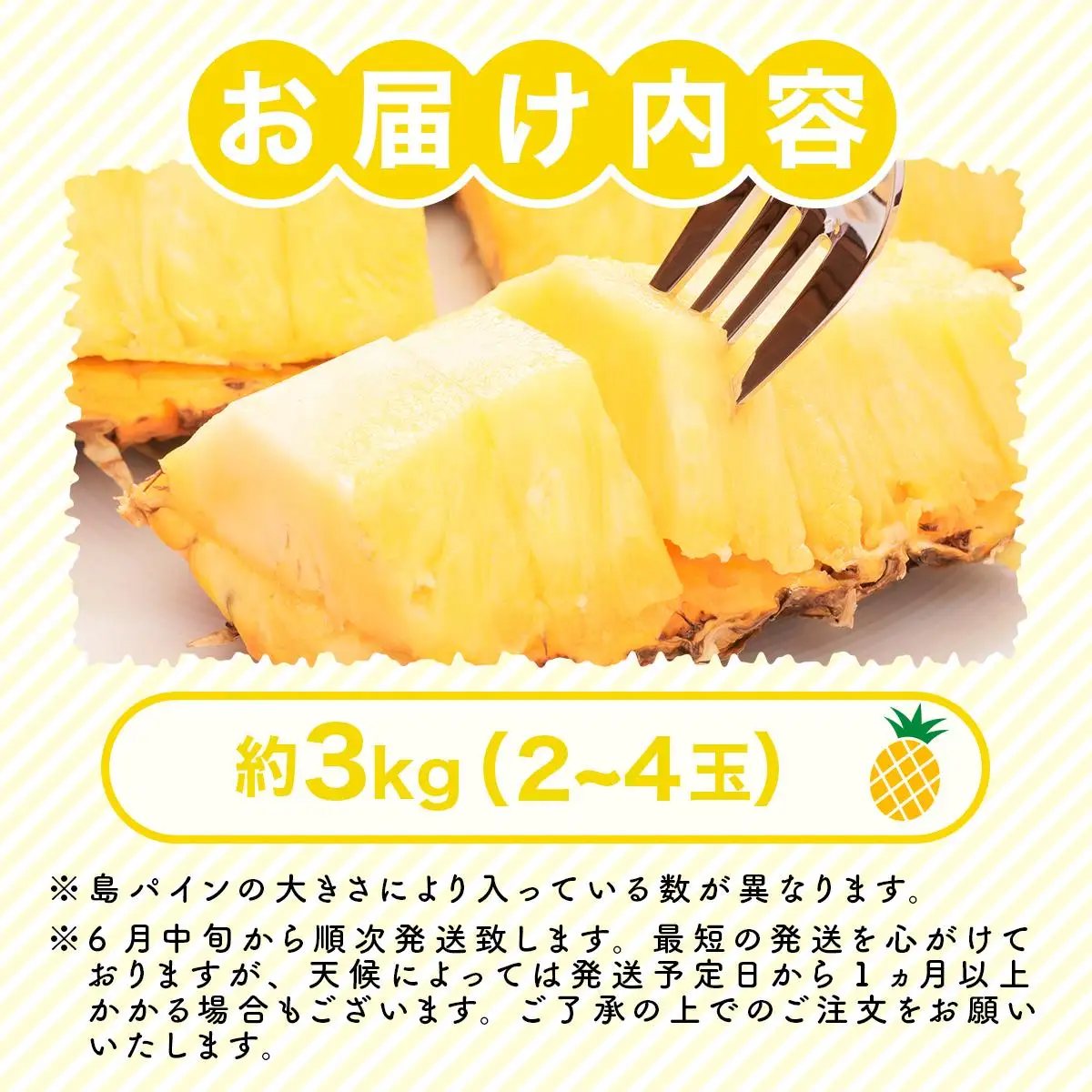 【2027年先行予約】島パイン (ハワイ種) 約3kg