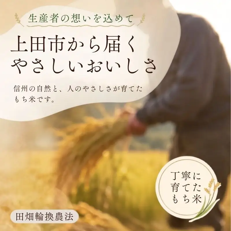 もち米 5kg (1kg×5個) 農家 自慢のお米 米 お米 餅米 白米 精米 こめ おこめ コメ おにぎり お餅 餅 モチ 和菓子 信州 長野 長野県 上田市