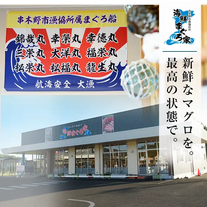 まぐろ♪ 本まぐろ 300g （大トロ＆中トロ＆赤身）天然 【00-041-10-FN】