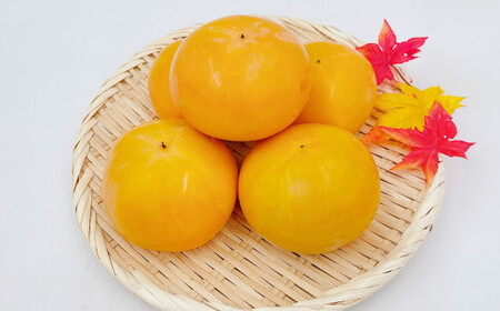 内子町産 富有柿 化粧箱（2L～3L）約3kg【2026年11月上旬～11月下旬迄発送】【えひめの町（超）推し！（内子町）】（448-1）