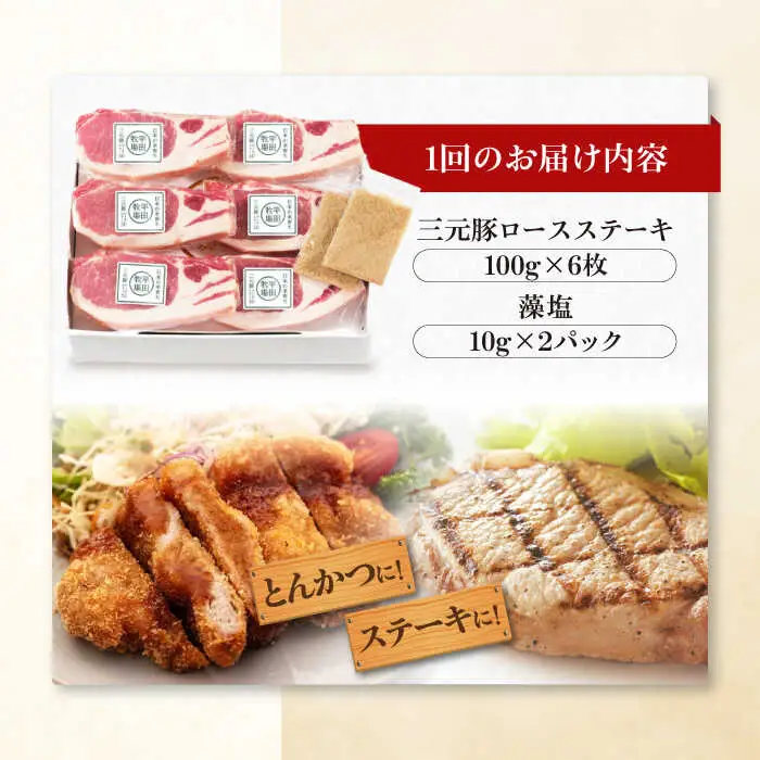 【全3回定期便】平田牧場 ロース ステーキ 600g  (100g×6枚) ※藻塩付 豚肉 とんかつ 生姜焼き[AJAP023]