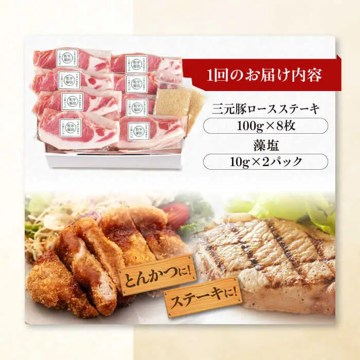 【全2回定期便】平田牧場 ロース ステーキ 800g  (100g×8枚) ※藻塩付 豚肉 とんかつ 生姜焼き[AJAP026]
