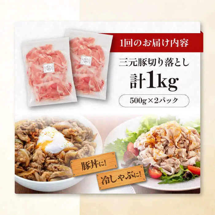 【全3回定期便】平田牧場 切り落とし 1kg (500g×2P)  豚肉 切り落とし 小分け [AJAP031]