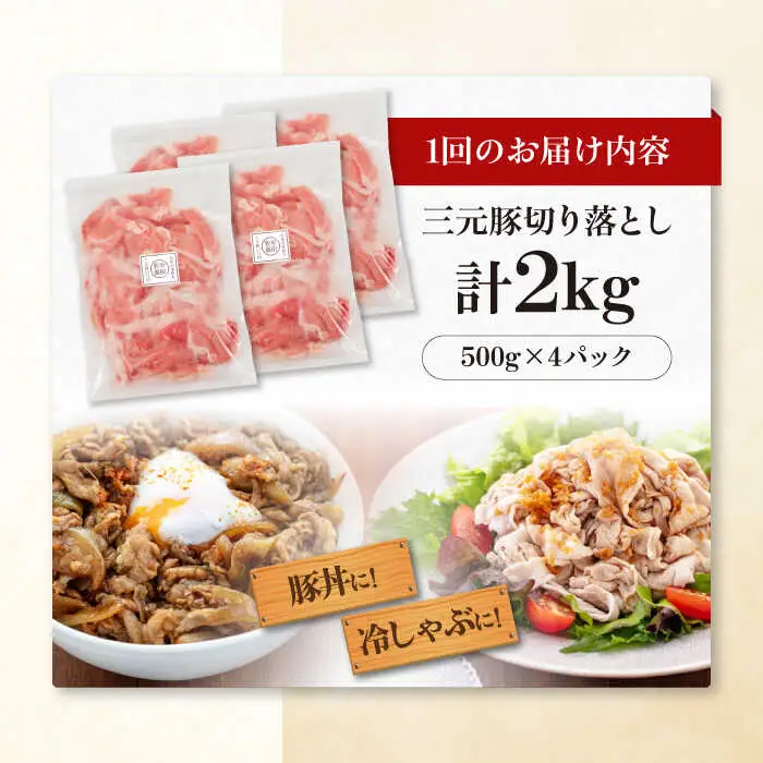 【全2回定期便】平田牧場 切り落とし 2kg (500g×4P)  豚肉 切り落とし 小分け [AJAP034]