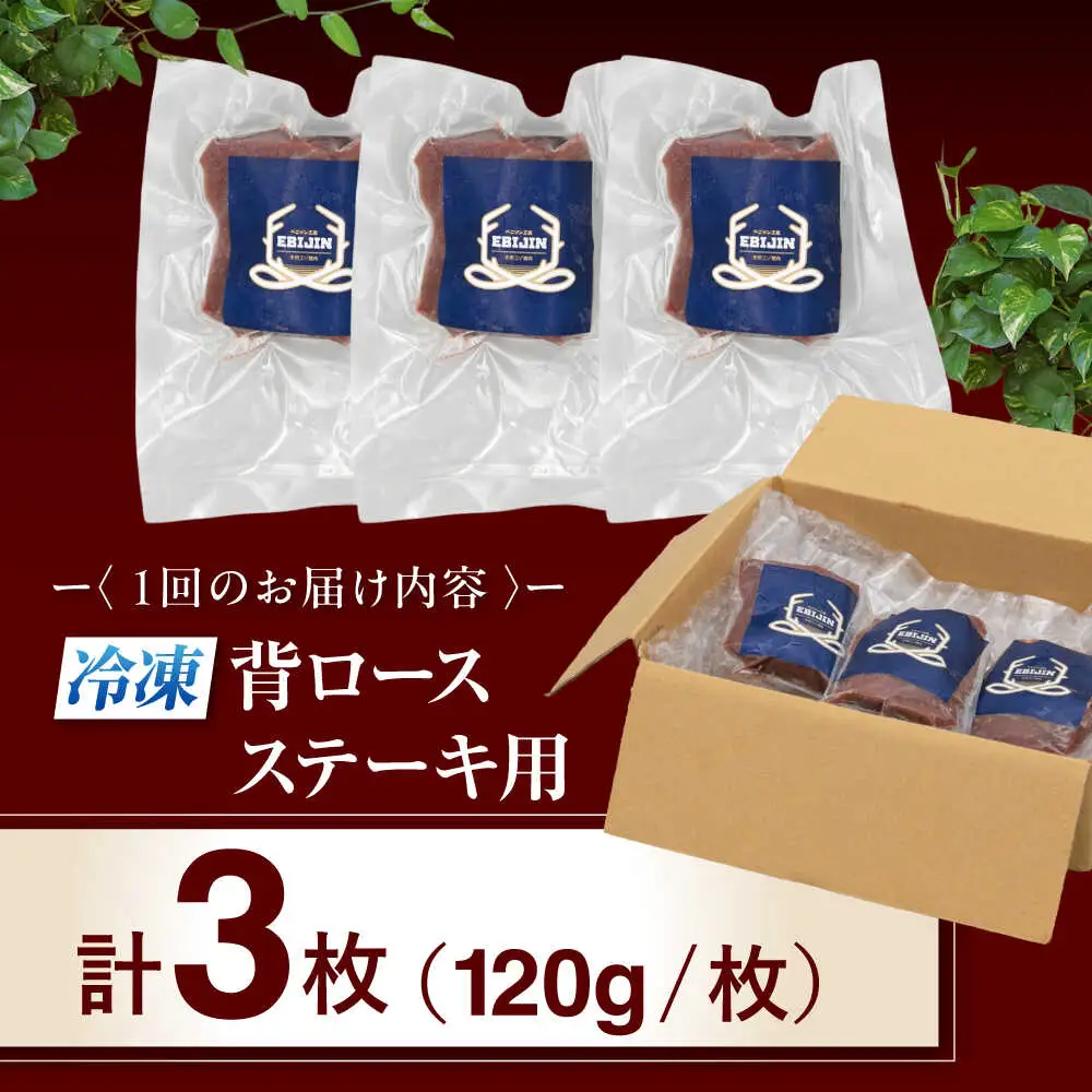 【全12回定期便】鹿肉 背ロース 3枚  ジビエ 赤身 冷凍配送 北海道 [AJAO030]