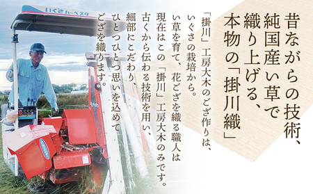 純国産天然いぐさ 「掛川織」 フリーマット 小 （茶色） 純国産 いぐさ い草 天然 自家生産 掛川 ラグ BG034