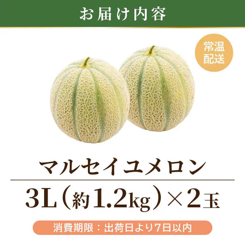 マルセイユメロン 2玉 (1玉 約1.2kg前後) 2027年6月中旬以降順次発送 めろん フルーツ [A-19008]
