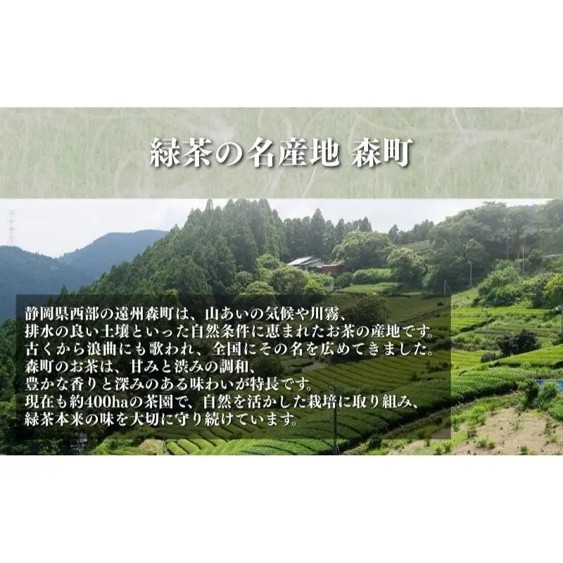 和紅茶ティーバッグ2g×20ヶ入×6袋 飲料類 お茶 セット 