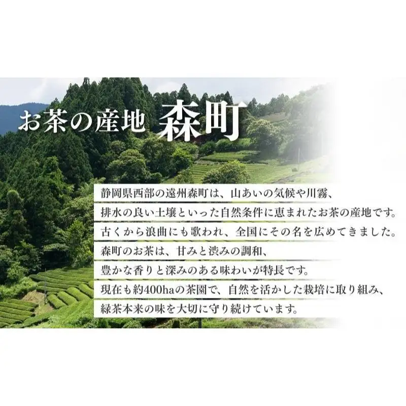お茶 いしだ茶屋 さえみどり 100g 5袋 お茶