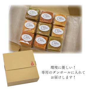 パン 食パン そのまんまお米ぱん キューブ型 9個 セット 小麦 乳製品 卵 グルテン 不使用 プレーン ほうれん草 コシヒカリ タンパク質 低カロリー 健康志向 手作り 天然酵母 カフェ 阿波市 徳島県