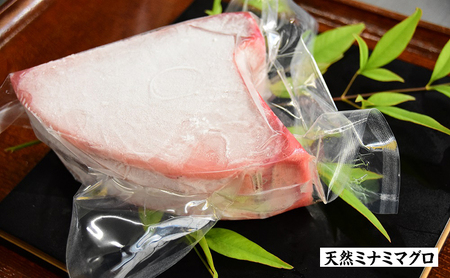 マグロづくし！ 刺身3種食べ比べセット 合計約1.65キロ　【メバチマグロ(上赤身) ビンチョウマグロ 天然ミナミマグロ】 
