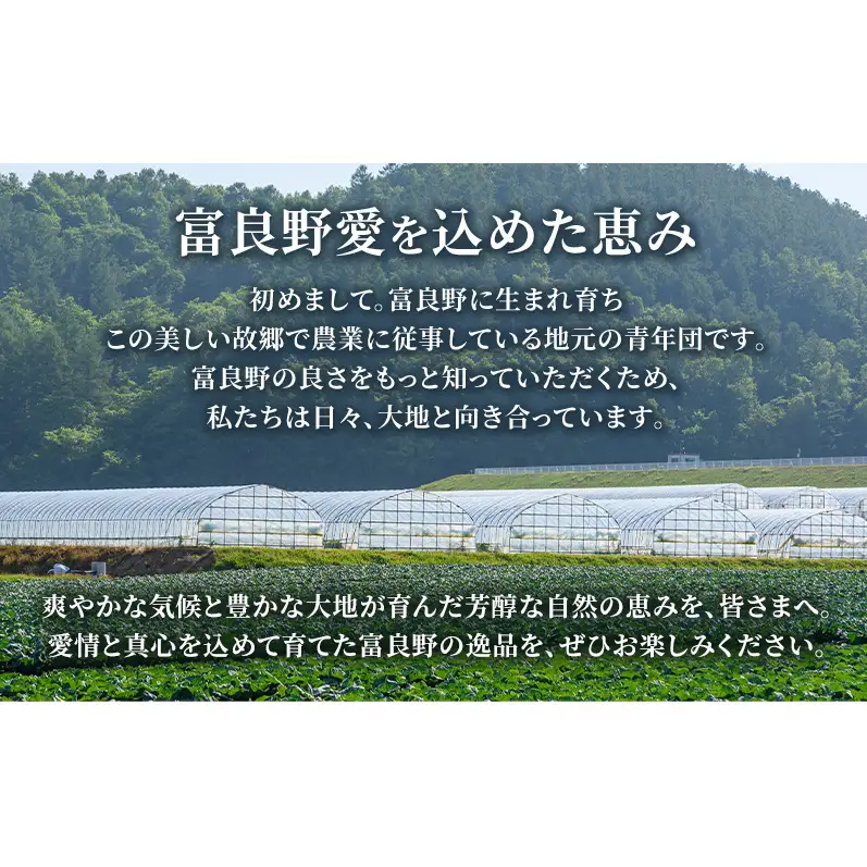 2027年夏発送 富良野 メロン キングルビー 秀大2玉 計4kg以上 赤肉