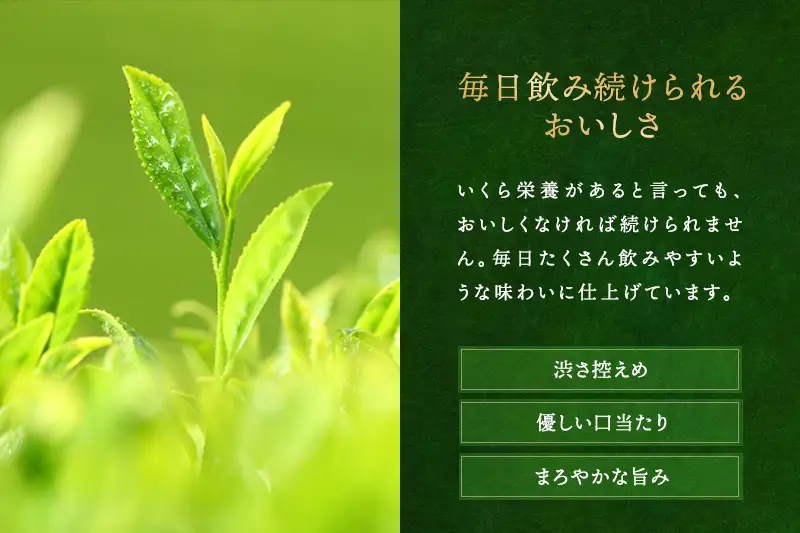 宇治抹茶入深蒸し煎茶2.1kg〈煎茶 お茶