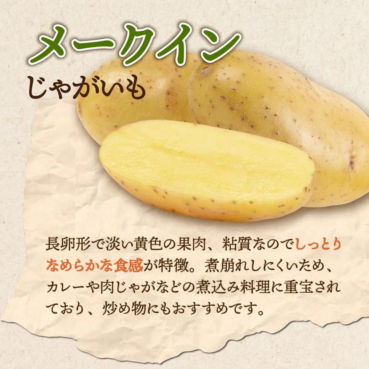 【 2026年 発送 】先行予約 北海道 じゃがいも 玉ねぎ 各5kg(計10kg) M-L混合 メークイン【55251004】