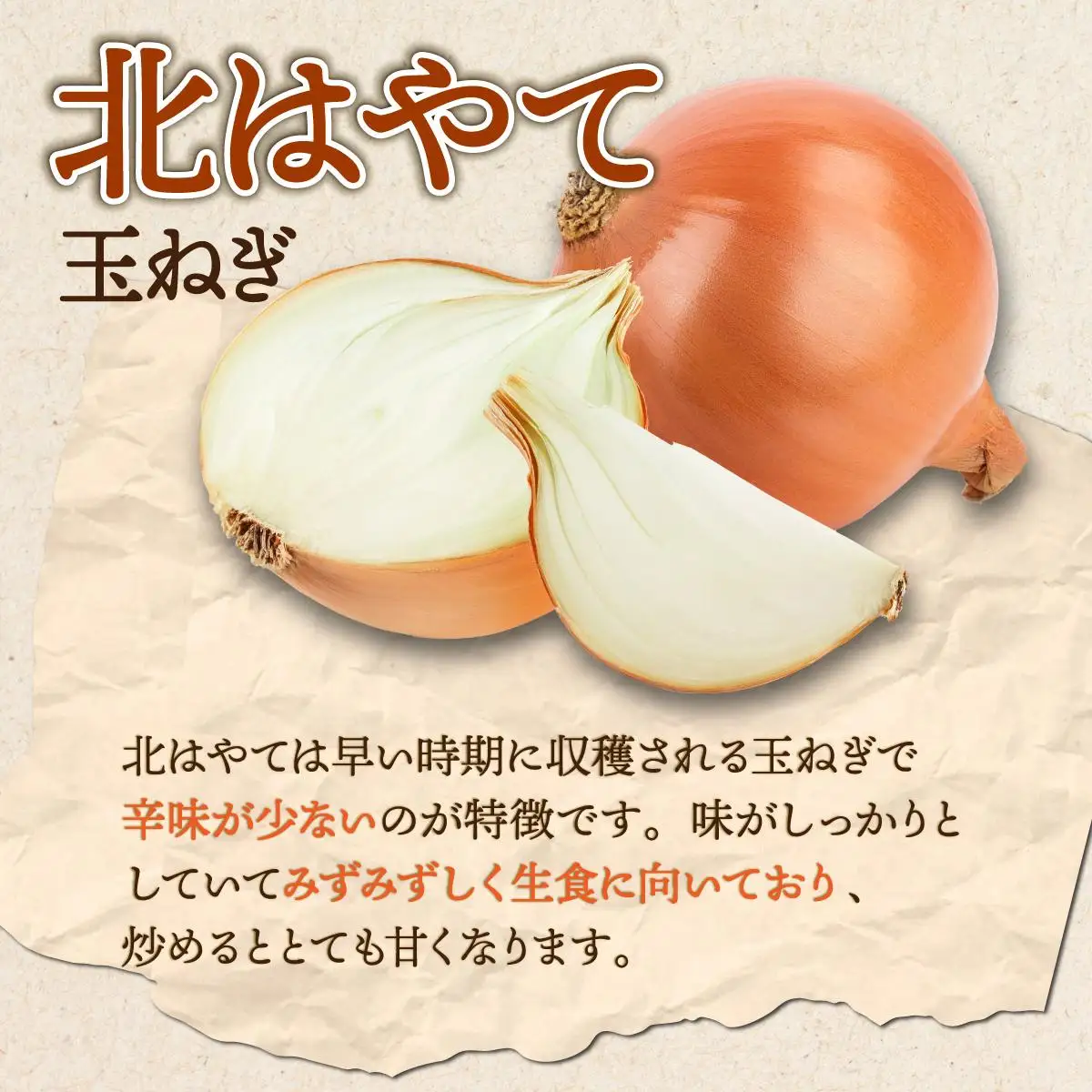 【 2026年 発送 】 先行予約 北海道 玉ねぎ 各2.5kg (計約5kg) M-L混合 北はやて アーリーレッド【55251005】