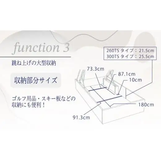フランスベッド BG-001（跳ね上げ収納タイプ 300mm）シングル【ベッドフレームのみ】R-288