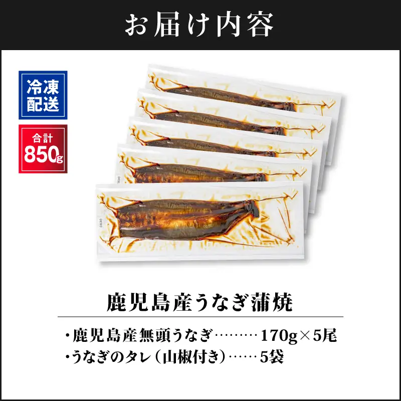 【 土用の丑の日特集 】 2445 鹿児島産うなぎ 合計850g（170g×5尾） 清らかな 地下水 育ち！ KN021-014-05 鰻 魚 惣菜 総菜