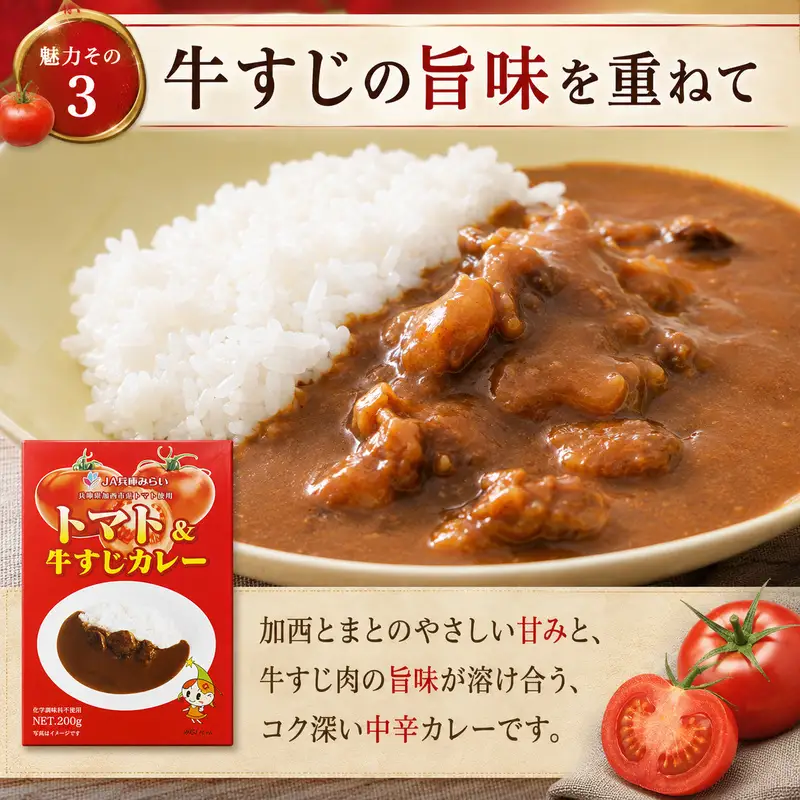 レトルトカレー トマト＆牛すじ 中辛 レトルトカレー【5箱】