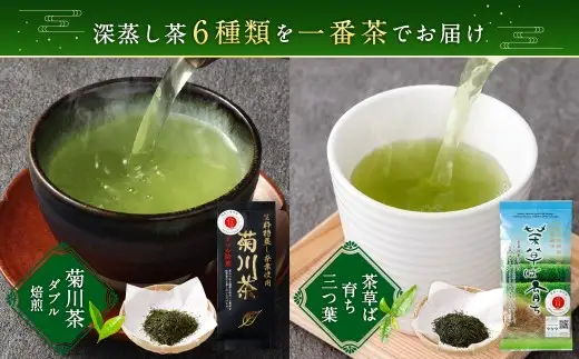 深蒸し茶 詰め合わせ 6種 セット 計約575g 【緑茶 茶葉 ティーバッグ】 お茶 茶 深蒸し菊川茶 深蒸し 菊川茶 飲料 ティーパック お茶パック 静岡茶 日本茶 茶葉 静岡 静岡県 菊川市