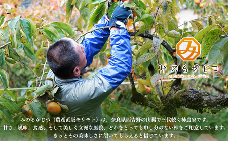 柿チップス 『 柿ひらり 』（ ドライフルーツ ） 60g × 4パック | フルーツ 果物 くだもの 柿 かき カキ お菓子 和菓子 ギフト 奈良県 五條市 みのるかじつ 贈答 プレゼント うま味 凝縮 お取り寄せ グルメ 送料無料 濃厚 甘い おいしい おすすめ デザート 特産品 果実 チップ チップス 富有柿 新感覚 自然食品