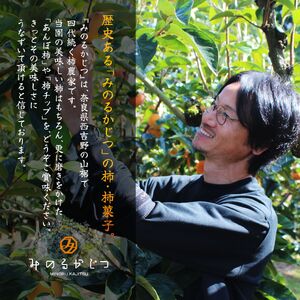 甘熟あんぽ柿『和菓』 （200g×3パック） | フルーツ 果物 くだもの 柿 干し柿 かき カキ お菓子 奈良県 五條市