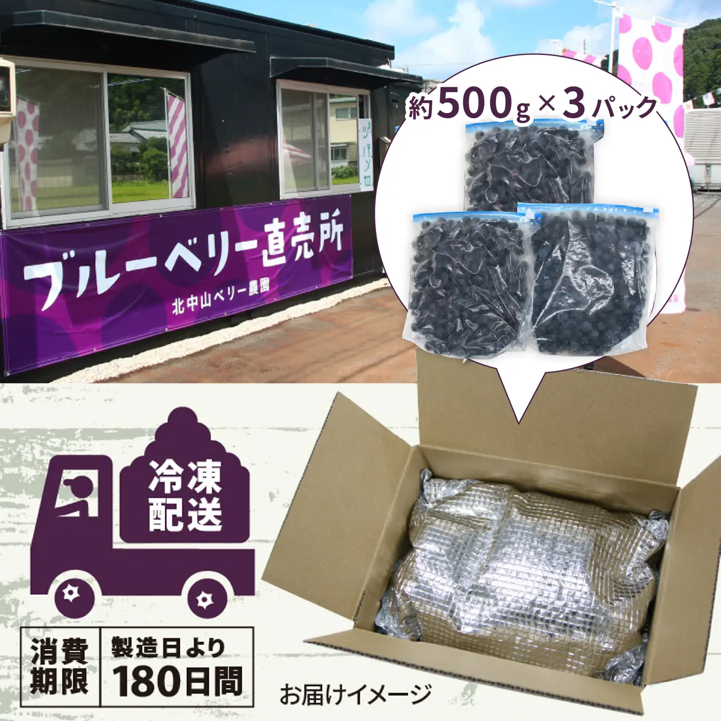 【訳あり】令和8年産〈冷凍〉手摘み有機ブルーベリー1.5kg（500g × 3パック）果物 夏限定