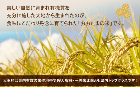 米 5kg コシヒカリ 令和6年  特別栽培米 西村農園 ｜ 福島県 大玉村 お米 令和6年産 2024年産 コメ 精米 白米 こしひかり ｜nm-kh05-R6 ｜ 米 5kg コシヒカリ 特別栽培米 福島 米 5kg コシヒカリ 特別栽培米 福島
