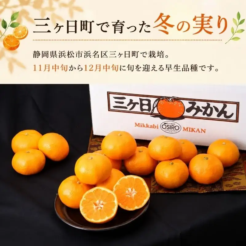 みかん 早生 6kg L 早生みかん 蜜柑 ミカン みかん