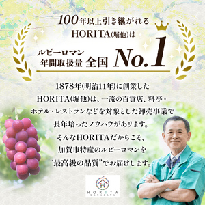 【先行予約】ルビーロマン 1房 500g（2026年8月中旬～9月上旬頃順次発送） ぶどう ブドウ 大粒 先行予約 予約 冷蔵配送 くだもの 果物 フルーツ ご当地 食品 F6P-2104