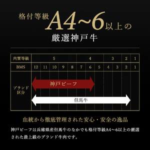 神戸牛 肩ロース すき焼き 500g A4 A5 神戸牛