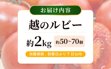 越のルビー（ミディトマト）中玉トマト 約2kg 2027年6月上旬以降発送 [A-19208]