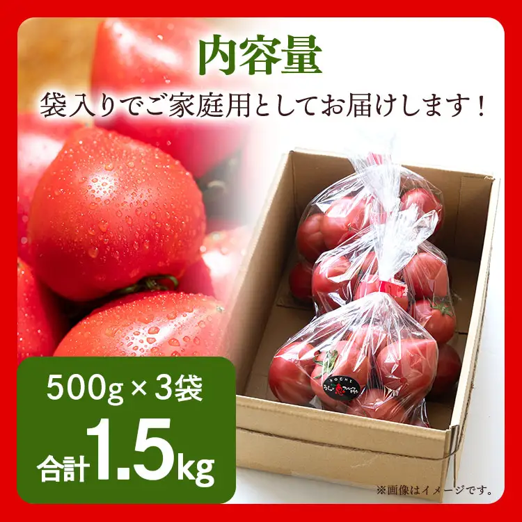 野菜ソムリエが育てた フルーツトマト(家庭用) 合計1.5kg 野菜 mj-0029